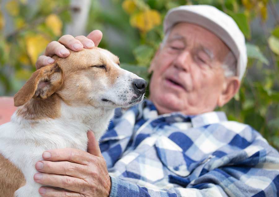 Senior gentleman with his small dog companion