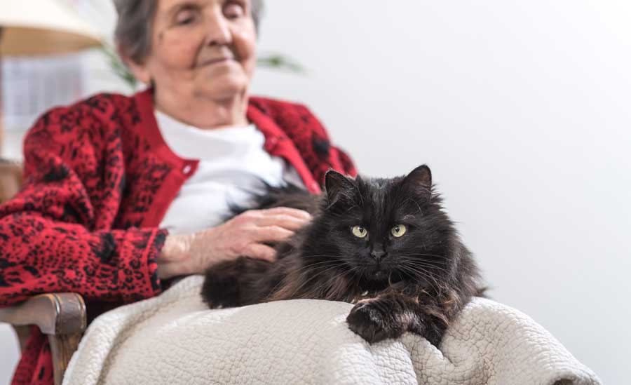 Reclining senior woman with her black cat